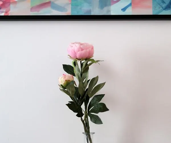 Apartman Luan *